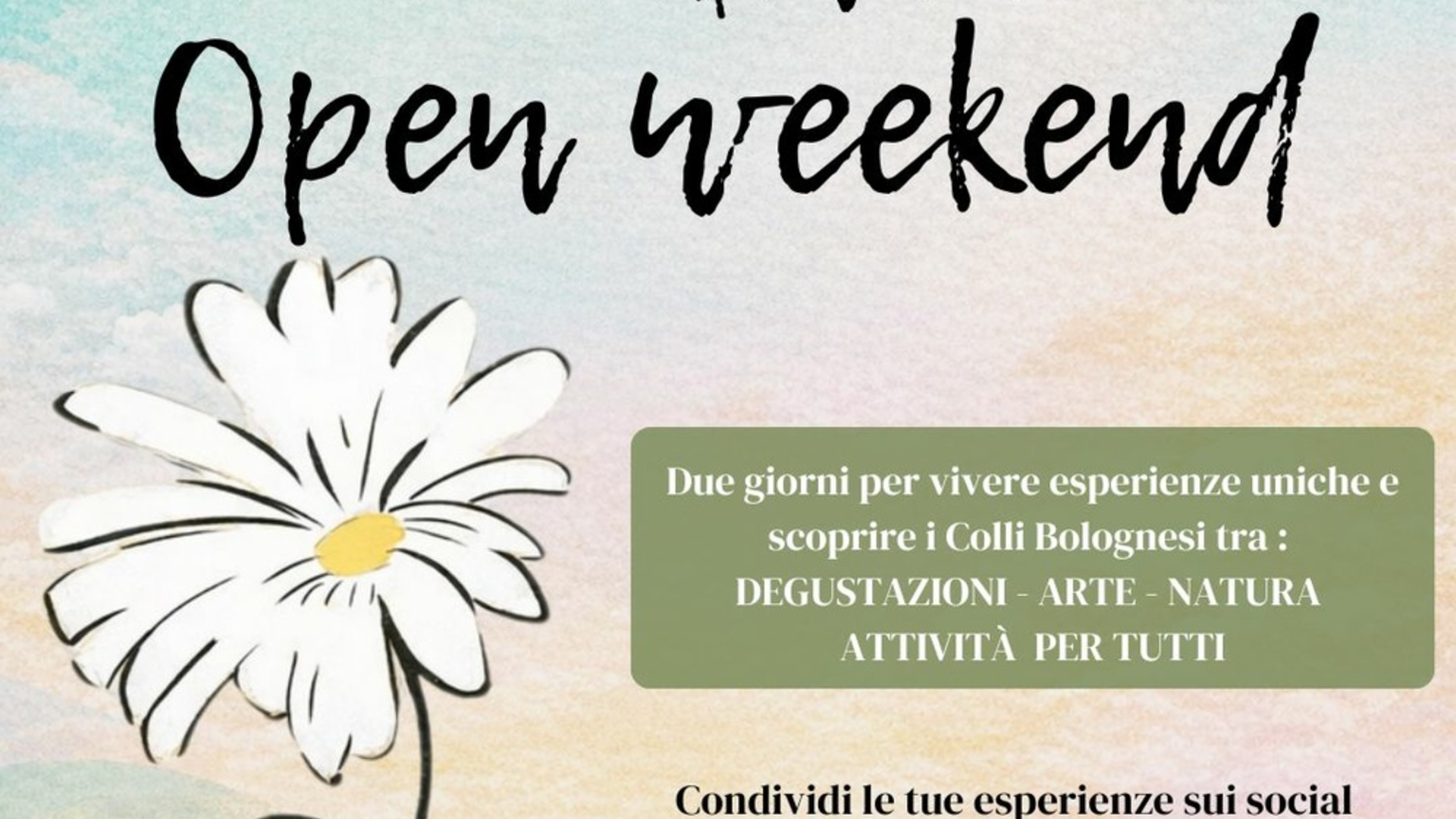 Open Weekend